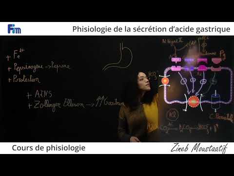 Vidéo: Profils D'expression Génique Des Cellules Trophoblastiques Uninucléées Bovines Et Des Cellules Géantes Trophoblastiques: Une Note De Données