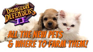 DD2 - All The New Pets, & Where To Farm Them!