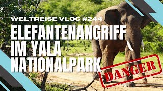 Download Lagu Yala Nationalpark - Lohnt es sich? - SRI LANKA 🇱🇰 MP3 Download Lagu Yala Nationalpark - Lohnt es sich? - SRI LANKA 🇱🇰 MP3
