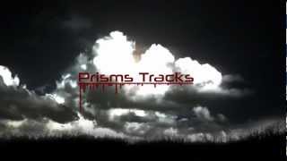 Breakdown Of Sanity - The Storm