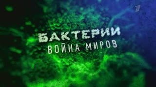 Бактерии.  Война миров. Выпуск от 05.02.2017