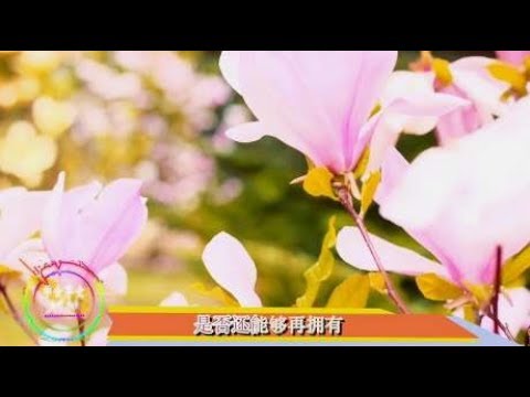 李翊君这首《风中的承诺》，曾经的承诺是否能做到？