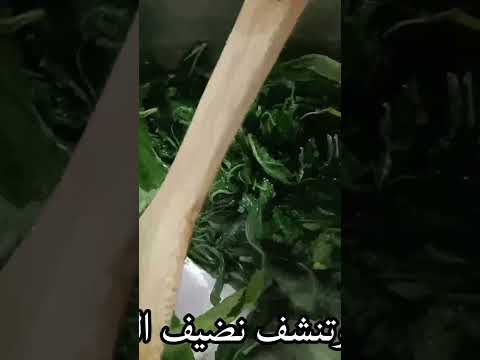 طبخ الملوخية الورق الخضراء