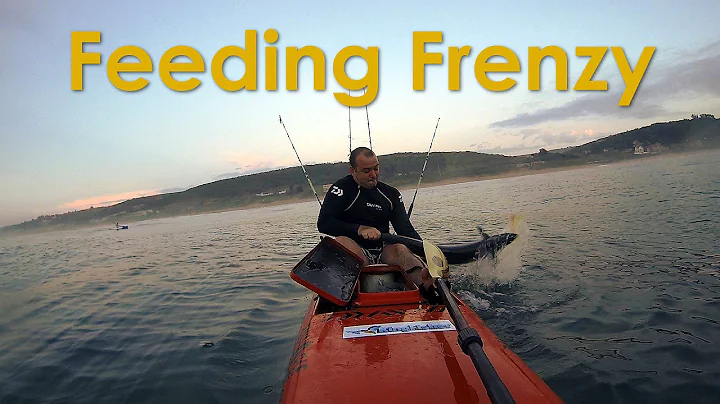 Snoek Feeding Frenzy with Shaun Reid
