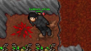 Guliver atom (Amera, Tibia 7.6)