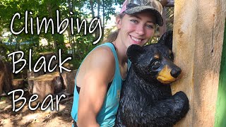 Little Climbing Black Bear - CHAINSAW CARVING