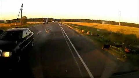 Germann Sheep Takes A Hit In The Face After Wonder...