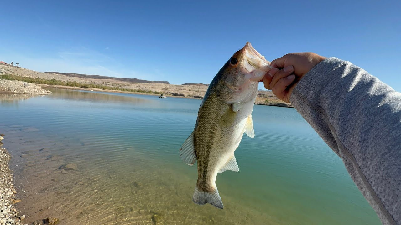 Finally caught a bass on a big glide!