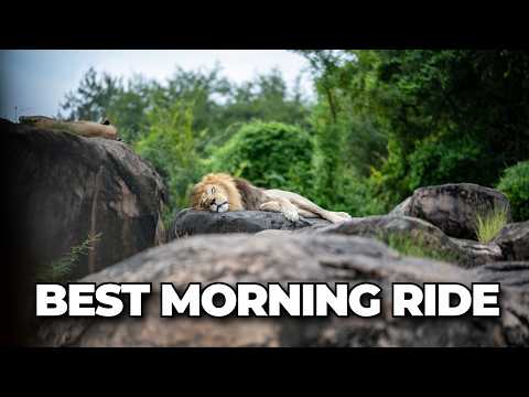 Kilimanjaro Safaris: Early Morning Ride POV