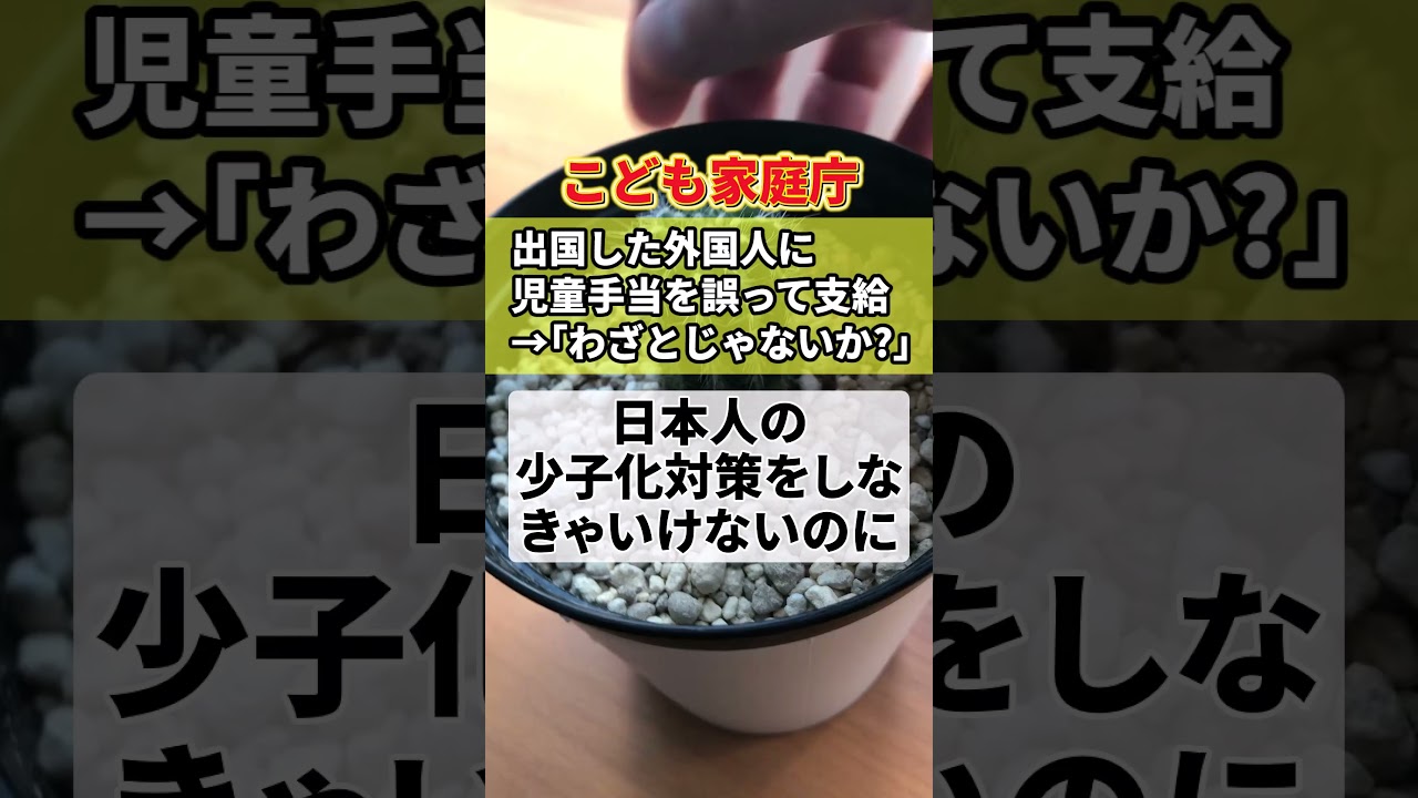 こども家庭庁「出国した外国人に対し児童手当を誤って支給しちゃった」→反応「日本人の少子化対策をせねばならないのに外国人にばら撒きっておかしいだろ」 #shorts
