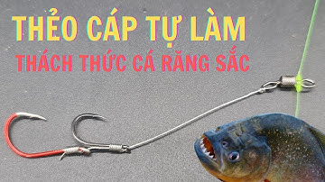 Thẻo cáp tự buộc tự tin chống lại cá săn mồi có răng sắc (chống đứt –chống nổ ) hiệu quả bao kéo vật