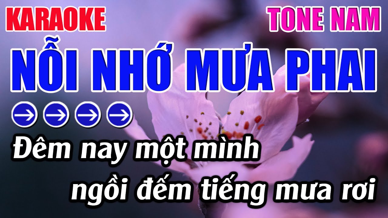 Nỗi Nhớ Mưa Phai Karaoke Tone Nam Karaoke 9999 - Beat Mới