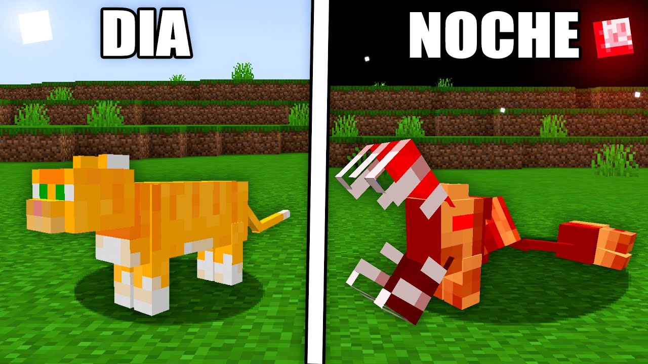 Si tu gato actúa así, abandónalo cuanto antes...