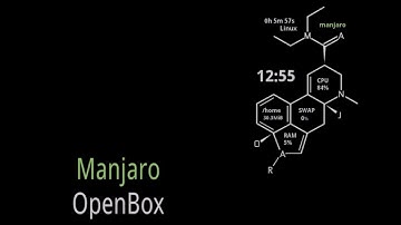 Install Manjaro Linux Openbox Edition in UEFI Mode (Dual Boot Windows 8)