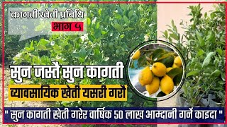 Sun kagati farming in Nepal **वार्षिक लाखौं आम्दानी दिने सुन कागती खेती यसरी खेती गरौ !!