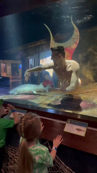 Living that merman dream! #merman #mermaid #merfolk #aquarium #truehappiness #mythical #magical