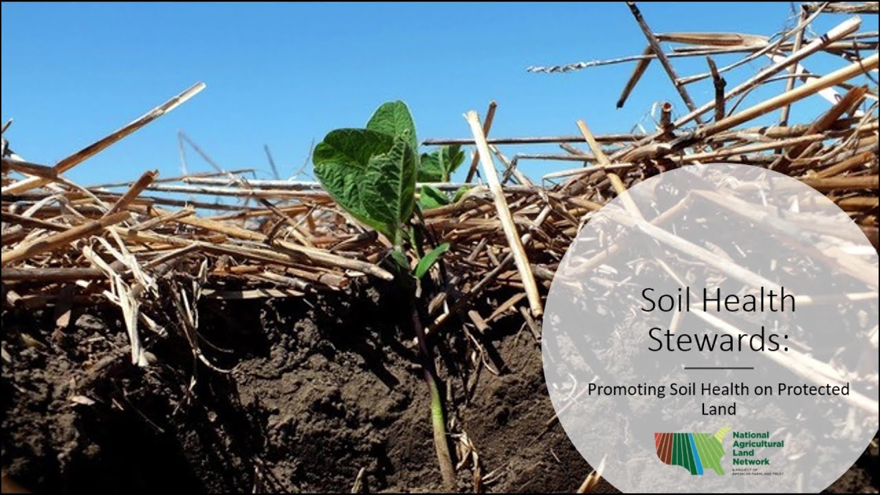 Soil Health Stewards: Take your Soil to the Doctor: Soil Health Assessment