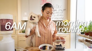 my 6AM “hot girl” morning routine in NYC healthy & productive habits, self care