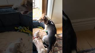 IMG 6859