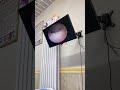 耳垢そうじ #shorts
