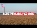 Will there be a global food shortage