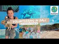 Volunteering in bali  the best decision of my life  sea turtle conservation with ivhq pt 1