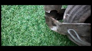 HEAVY DUTY CARAVAN OR TRAILER JOCKEY WHEEL WITH SOLID TYRE isjustaclickaway eBay UK