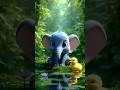 Beautiful Funny cute 🐥🍼 elephant dance💝ll  #cuterats #ytshorts #shortsfeed #dudidudidam #shorts