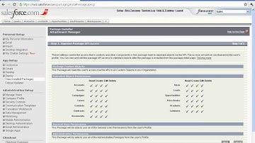 Monitor and Delete Attachments in Salesforce.com