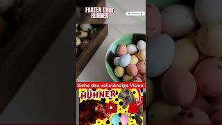 Kuriose Fakten über Hühner Teil 11 #huhn #hühner #tier #tiere #vögel
