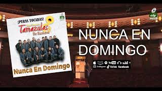 Vignette de la vidéo "Banda los tamazulas de guasave - nunca en domingo"