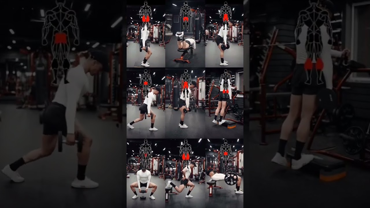 Leg day exercises library!🏋️