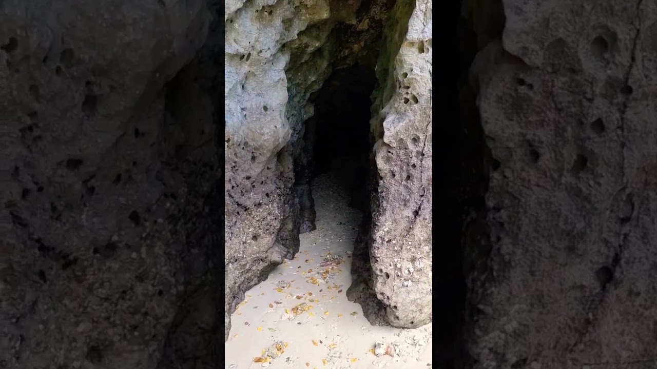 A cave full of bats on an isolated island 🏝 😱‼️💯⛰️ #viral #subscribe #tiktok #trending #shorts #fpv adlı videoyu YouTube'da izle A cave full of bats on an isolated island 🏝 😱‼️💯⛰️ #viral #subscribe #tiktok #trending #shorts #fpv adlı videoyu YouTube'da izle