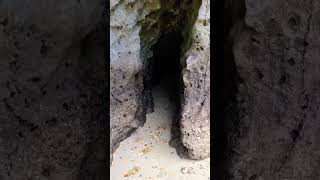 A cave full of bats on an isolated island  🏝 😱‼️💯⛰️ #viral #subscribe #tiktok #trending #shorts #fpv