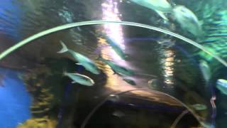 Один день из жизни Астаны,РЦ \