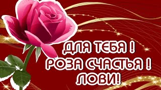 ДЛЯ ТЕБЯ !!! РОЗА СЧАСТЬЯ !! ЛОВИ !!МУЗЫКА СЕРГЕЙ ЧЕКАЛИН !!