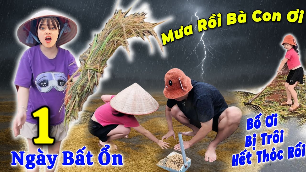 Mưa To Làm Trôi Hết Thóc Của Ông Bà Nội Chị Hằng Và Em Nhi Anh Hùng Đi Vặt Hoa Quả Trong Trời Mưa