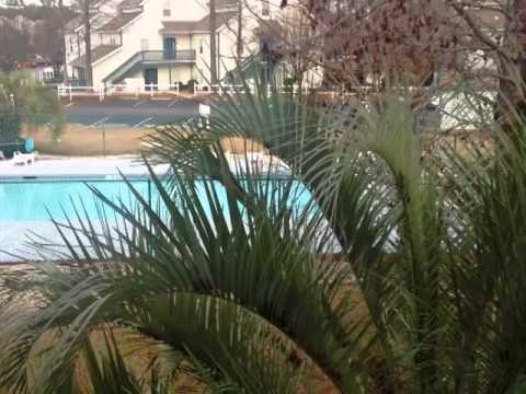 4265 Villas Dr, Little River, SC home video tour
