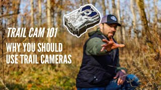 Trail Camera 101: Why YOU Should Have Trail Cameras Collecting Data Now!