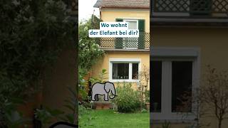 Botswana Schickt 20.000 Elefanten Nach Deutschland?