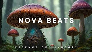 Nova Beats-Essence of Minds #22 [Melodic Techno/House & Progressive House DJ Mix]