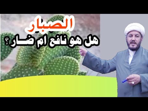 فيديو: ما نوع الأرض اللازمة للصبار؟