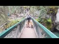 Shield K9 goes to Banff