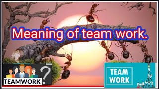 Team Work|| meaning of team work.