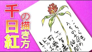 無料動画 千日紅の描き方 夏 秋 絵手紙教室くぼ田