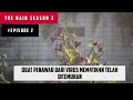 OBAT PENAWAR V1RUS SUDAH DITEMUKAN || ALUR CERITA FILM THE RAIN SEASON 3 EPISODE 2