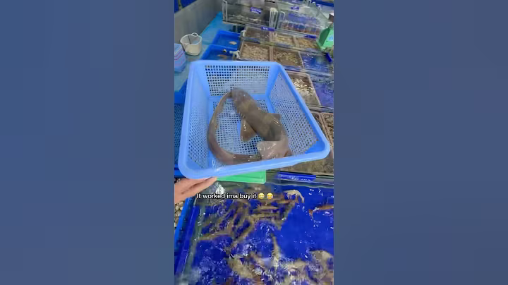 Buying The World’s Rarest Seafood