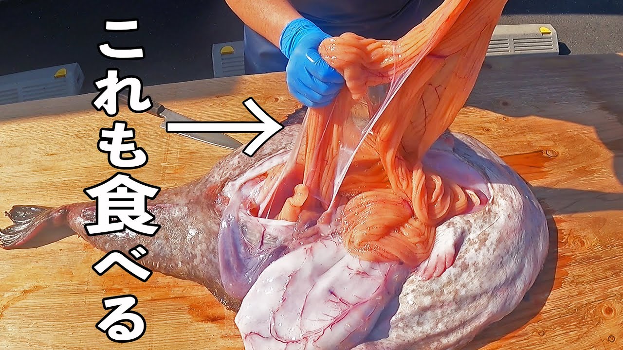 衝撃 巨大アンコウからありえない長さの卵巣が それも美味しく頂きます Youtube