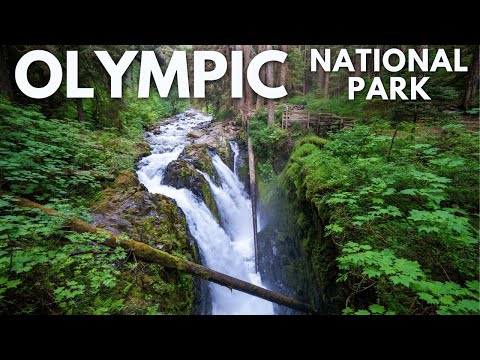 Olympic National Park: 24 Hours of Waterfalls, Rainforests, Beaches & More