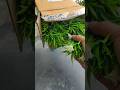 Green flower Table tob unboxing#short